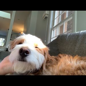 Meet your Posher, Drew